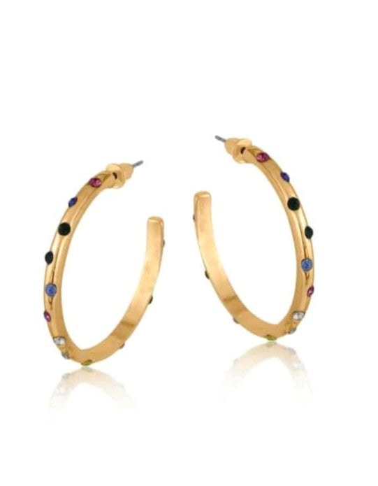Gold/Coloured stone hoop earrings
