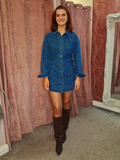 Alizee Shirt Dress Blue
